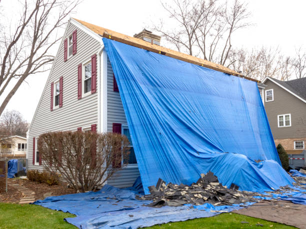 Best Shed Removal  in Oak Ridge, TN